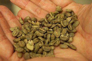 Coffee beans (Кофейные зерна)